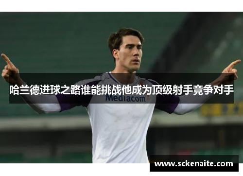 哈兰德进球之路谁能挑战他成为顶级射手竞争对手