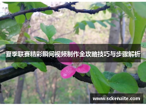 夏季联赛精彩瞬间视频制作全攻略技巧与步骤解析