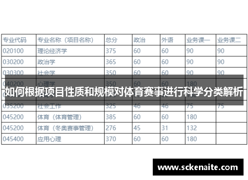 如何根据项目性质和规模对体育赛事进行科学分类解析