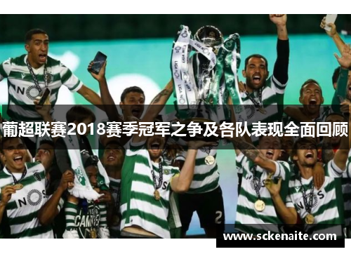 葡超联赛2018赛季冠军之争及各队表现全面回顾